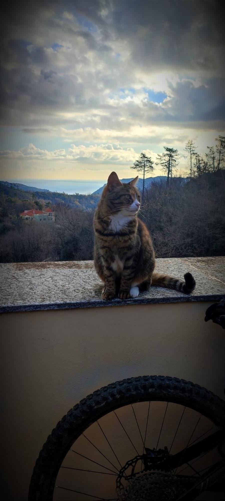 Segni E Impronta Bed & Breakfast Финале Лигуре Екстериор снимка